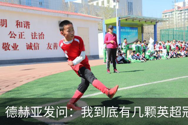 德赫亚发问：我到底有几颗英超冠军勋章？
