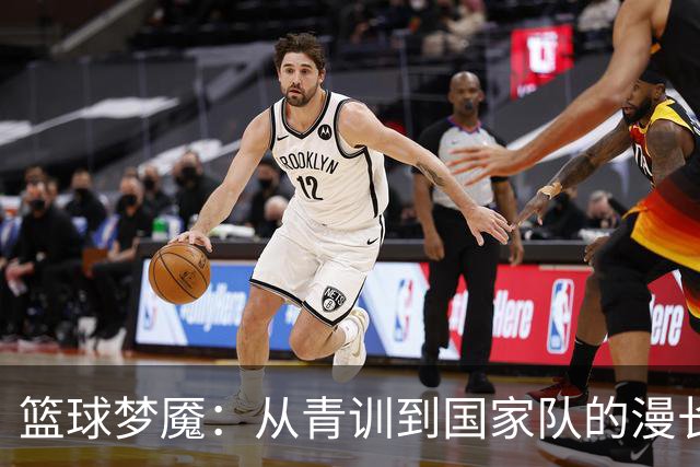 篮球梦魇：从青训到国家队的漫长旅程
